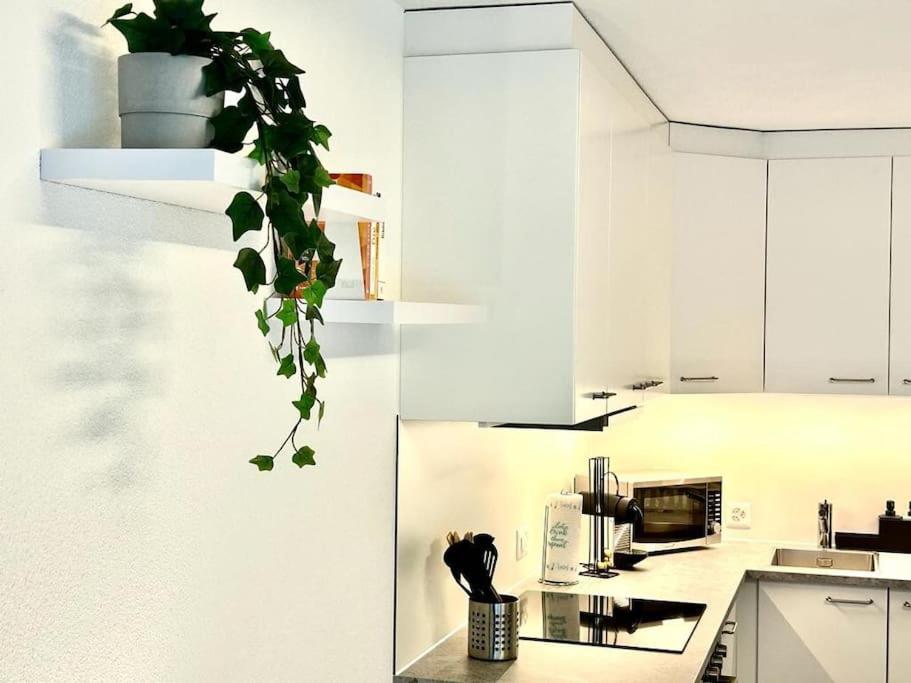 Casa Ambizione Apartment Dietikon Exterior photo